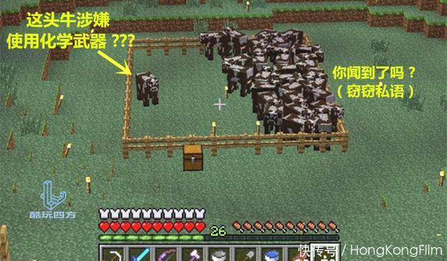 世界|我的世界:完美巧合拍到的MC现象,明明没有PS却让人觉得是假的