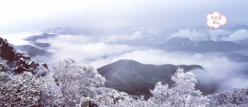 百花山|雪景与云海“同框”！今天的百花山美如仙境