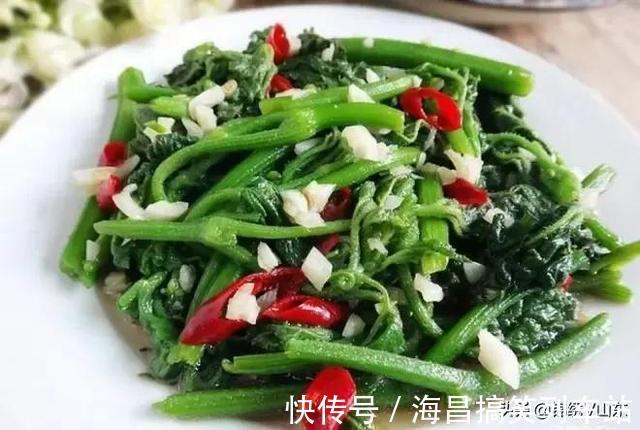 番茄酱|好吃到爆的夏季家常菜下饭菜系列合集,专治夏季没胃口哦