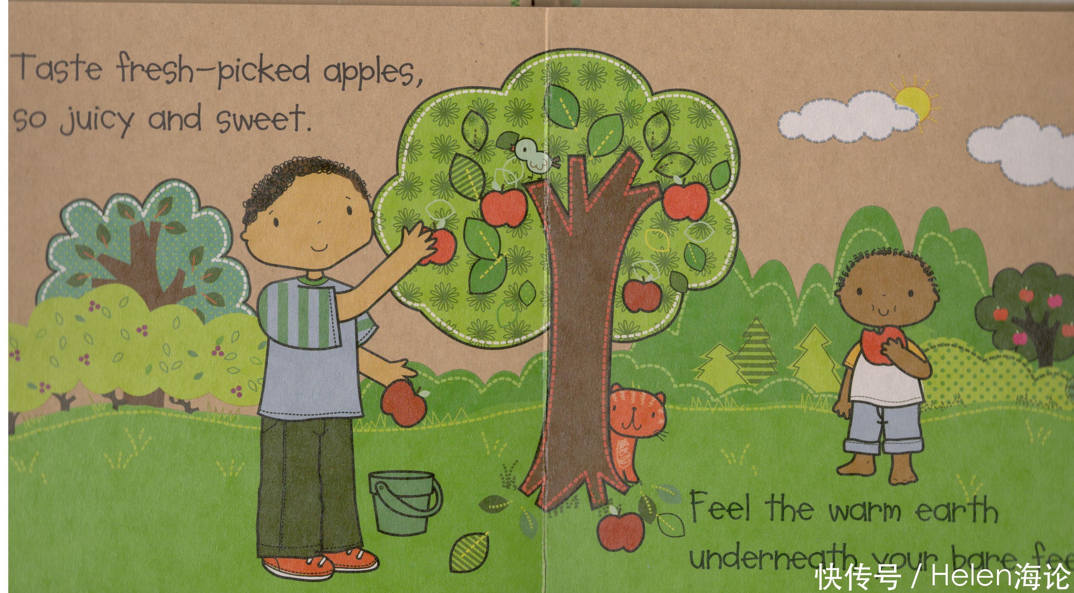 海论英语好书推荐《The Five Senses》2