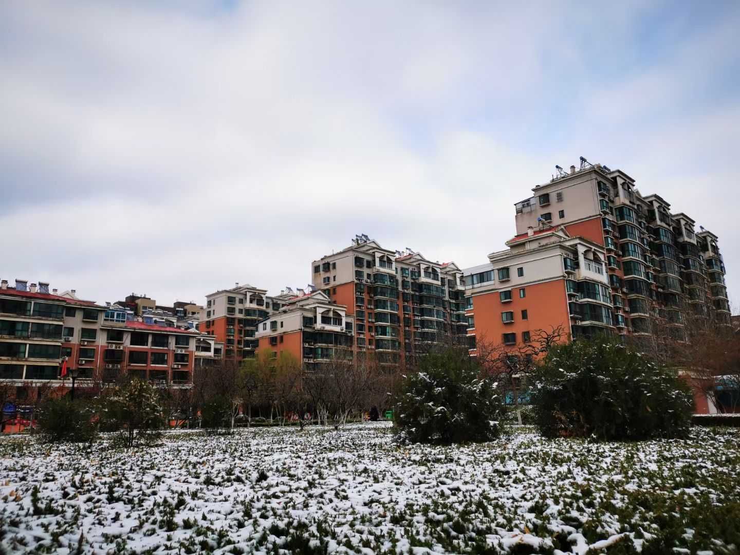 老年|泉城喜降春雪，银装素裹，分外妖娆