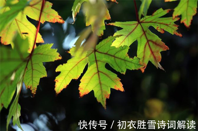 黄庭坚#明丽早秋山水宋词三首:谁道秋来烟景素,一番时态一番新