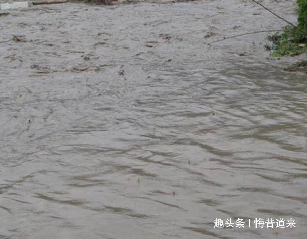 公允!故事道士在山洞修行,一老鼠偷学成人形,师徒行善双双飞升成仙