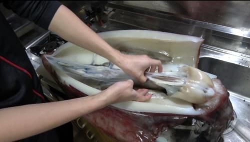 鱿鱼|男子切开巨型鱿鱼，发现透明“塑料管”，瞬间愣住了！