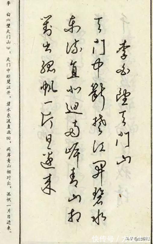 江南草木记.昙花!钢笔草书古诗词——经典老字帖,收藏慢慢练