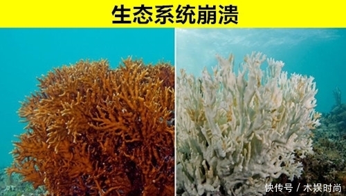 超乎 也许在未来,世界会被完全毁灭的8种超乎想象的方式