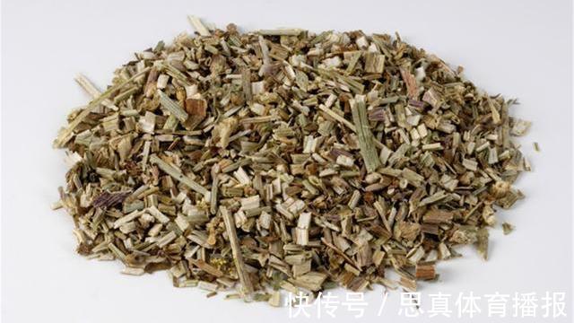 月经期间|蒲公英,被称为“药草皇后”,谨记“五搭配、四禁忌”,别再犯错