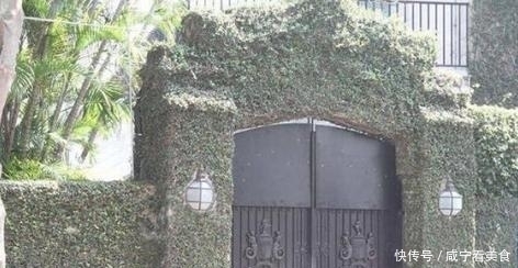 带你看看郭晶晶的豪宅 大门设计戒备森严 院内还有镇宅的石狮子 快资讯