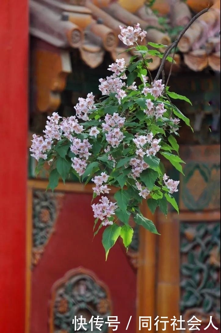 「美妆江湖」故宫四季,绝色中国