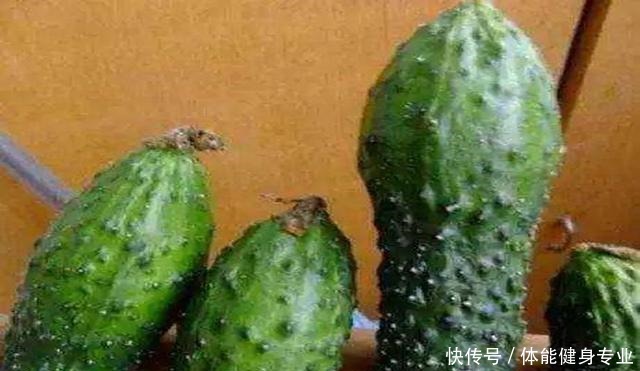 如何辨认打了激素的黄瓜教你3个小技巧，看一眼就能区别
