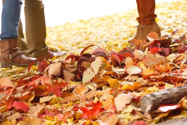 诗词@19首诗词,描写秋天的守望深秋大海逢涨潮,傍晚风吹树欲摇