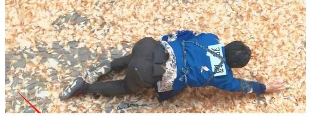 戏儒人生|李诚儒评《奔跑吧》等综艺：没有意义浪费资源，无益于演技提高