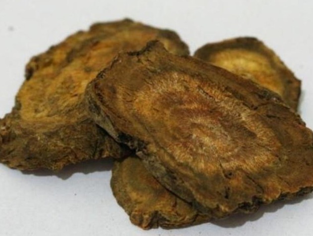 金不|这野草名叫金不换,以前农民见了当害草,现在当个宝