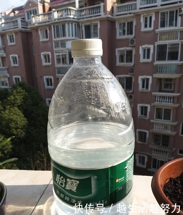 初春养花，这4点要注意，否则花熬过冬天，死在春天！