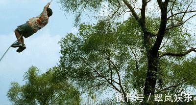 写作业|儿子北大女儿哈佛,妈妈说:除了这10条家规,我从来不管他们学习!