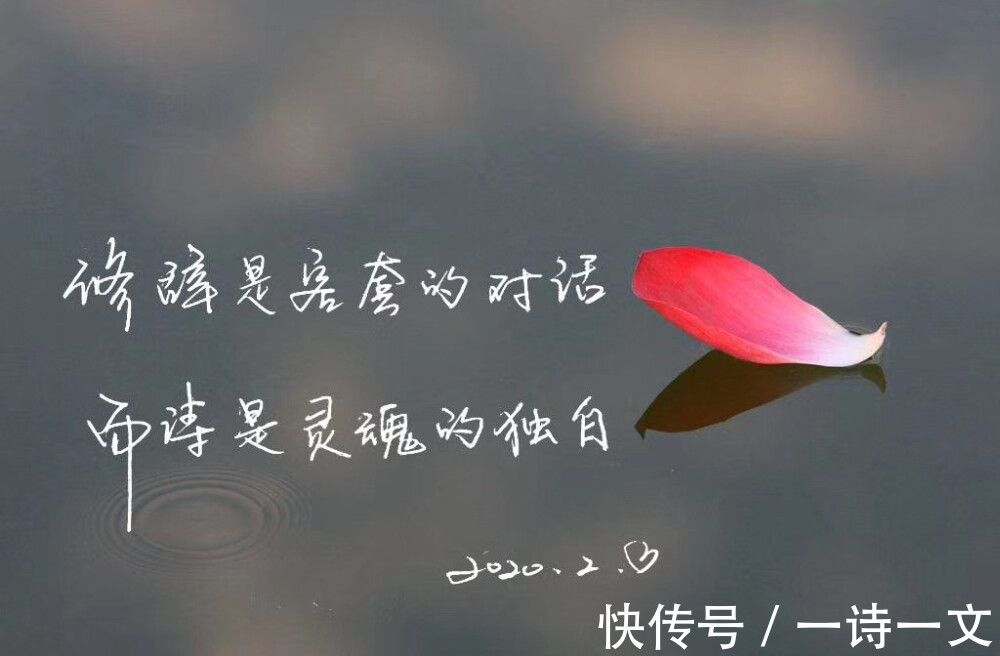 为你写诗$为你写诗,以你为题,将温柔的爱意都赠予你