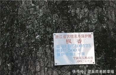 宁海财神谷：自带仙气的景区