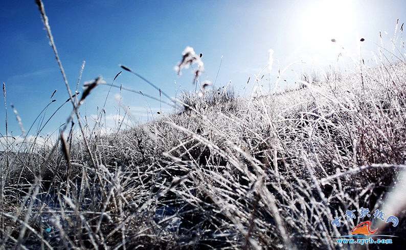 后初|肃南：博雅塔拉雪后初霁蓝天白云美如画