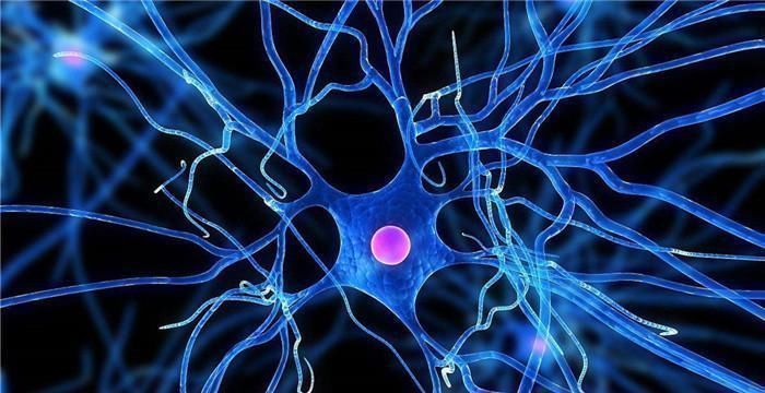 神经细胞|英国老年痴呆测试若你在图上找出2张女人脸，大脑没毛病