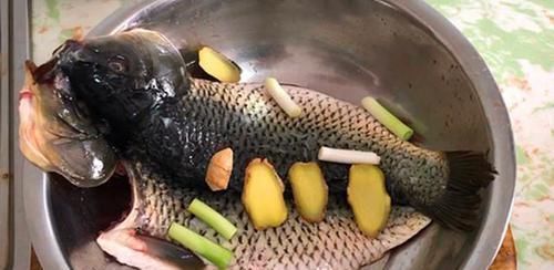 鲤鱼|这鱼5元一斤,无人问津,以前的“淡水鱼王”为何不受待见了