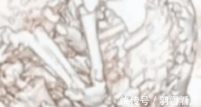 肚子|世界最霸道的“婴儿”,在腹中待了61年,被发现时妈妈已91岁