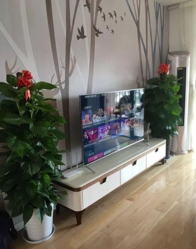 新家|终于入住新家了,晒晒,花20万装修,效果美极了,全家都满意!