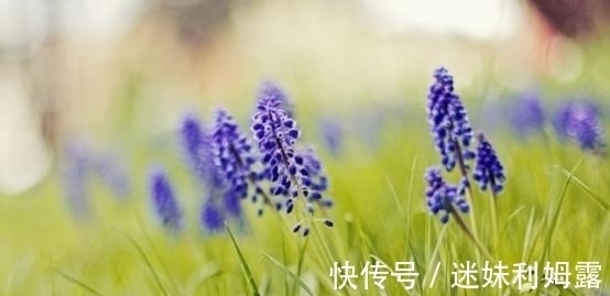 旧爱好|3天后，思念难耐，寻找旧爱，幡然醒悟，改过自新，深情共白头