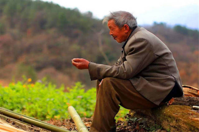 精华|俗语家有一老,如有一宝,下半句才是精华,少有人知,值得深思