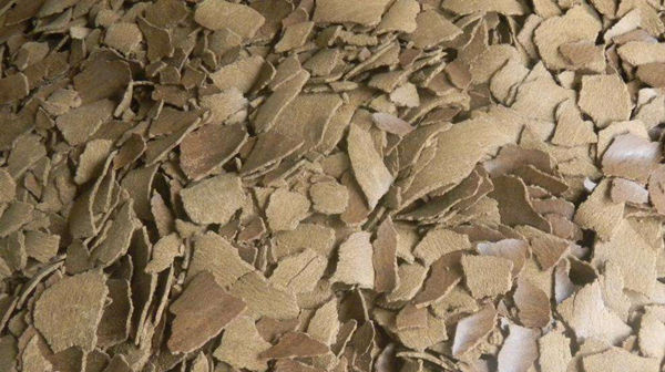 水草|夏季手竿钓草鱼心得钓点饵料很关键,选择得当,钓草鱼不是难事