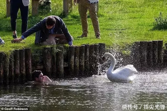 剑桥|剑桥“水怪”！揍人打狗未逢敌手？这么嚣张居然是女王给ta撑腰