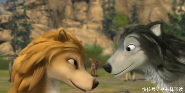 狼群|动漫影视论丨彼此了解才能拥有爱情,《丛林有情狼》体会生活美好