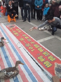 |搞笑GIF：姑娘 虽然你长得挺好看 但你进门的样子我还是笑出了声