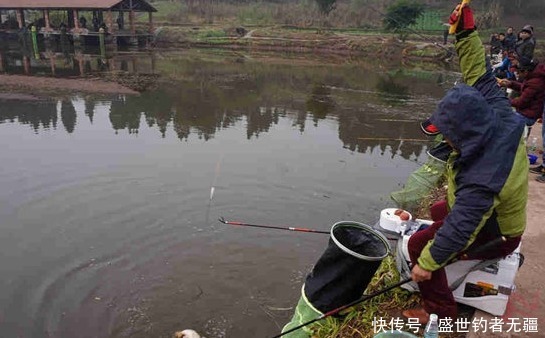 黑坑钓鱼,鱼口不好?教你如何让黑坑鱼儿乖乖开口——盛世三渔
