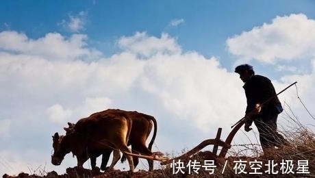 水乡@查慎行的一首七律,娓娓道来,历历如绘,不愧为清代的大才子