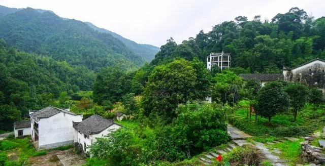 美丽中国-341-：西递、宏村两座古村落