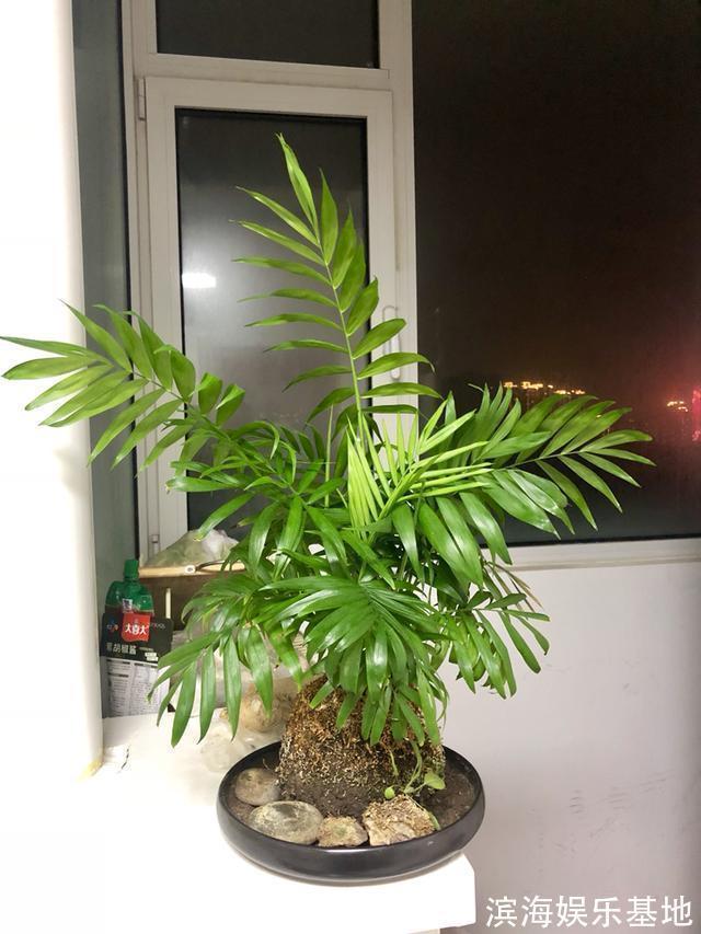 油烟|家里这两扇门,最好是经常关闭,有利于健康