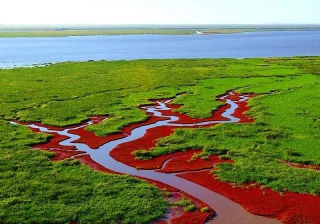 五一出去浪!省内多地美景、美食一键解锁