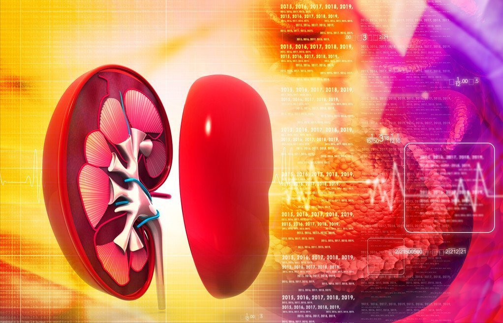 血压|高血压,不只是吃降压药就完了,合理降压、长期达标要知道这6点