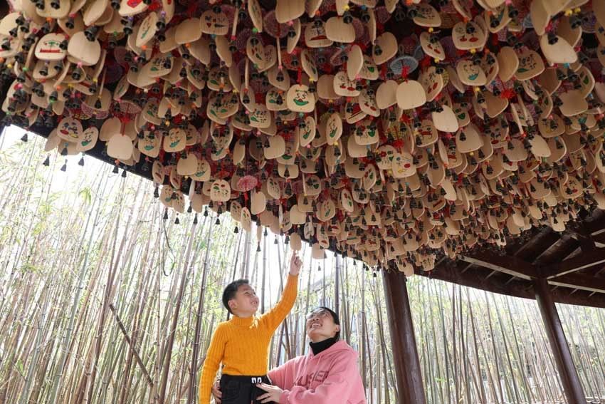 老年|江西抚州东乡区：游园踏春过新年