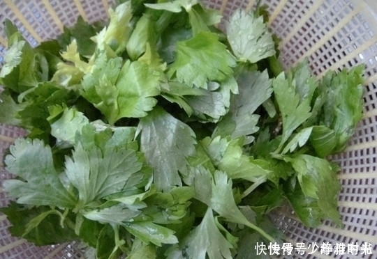 睡眠|用此菜叶子泡水喝,睡前来一杯,睡眠好了,黑眼圈也淡了