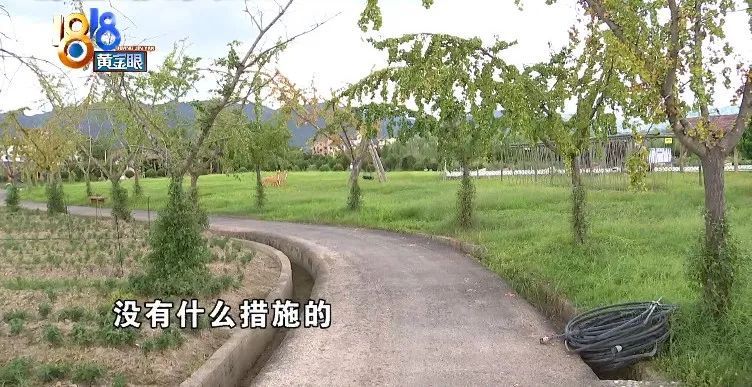 安全带|大人“参战”跷跷板，孩子牙齿受了伤