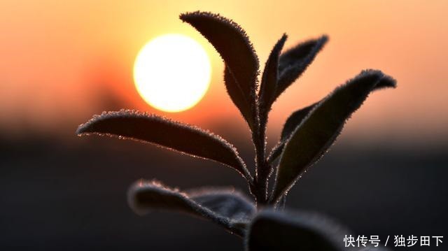 月儿|诗歌《亏欠》诗人月儿