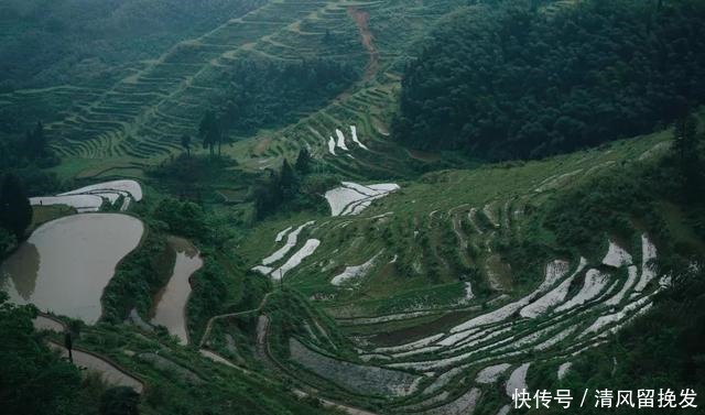 云雾|云和梯田一大奇景，云雾奇观，浮云世界