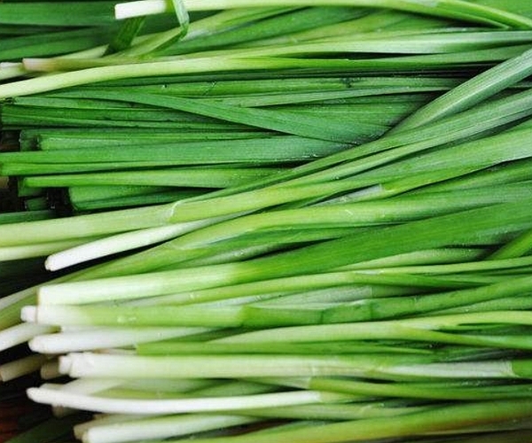韭菜好吃有营养,但不能乱吃!韭菜的几种错误吃法,早知早受益
