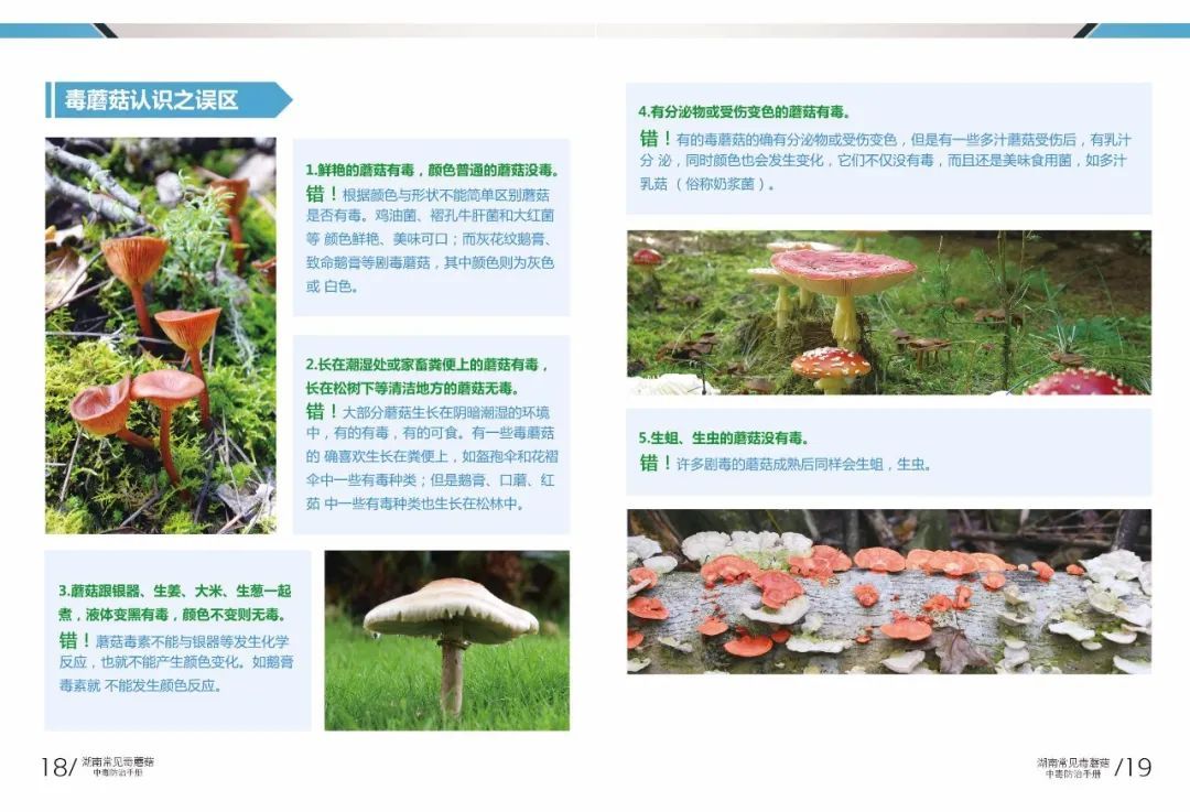 野生|所有人,邵阳市疾控中心最新提醒:勿采勿食不买不卖!