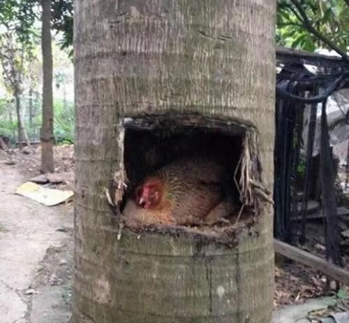 |开心一刻笑话儿子四岁了，就是不爱吃饭，我和老公都很着急