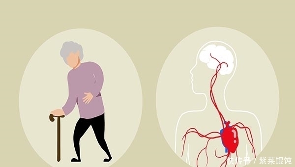 李大爷|55岁之后血压15596，属于高血压吗？应该怎样控制呢？