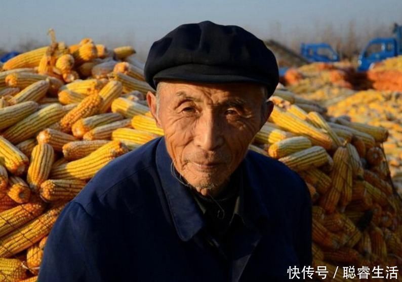 反应蛋白|108岁老人依旧生活自理,问其长寿原因,三条“戒律”是关键