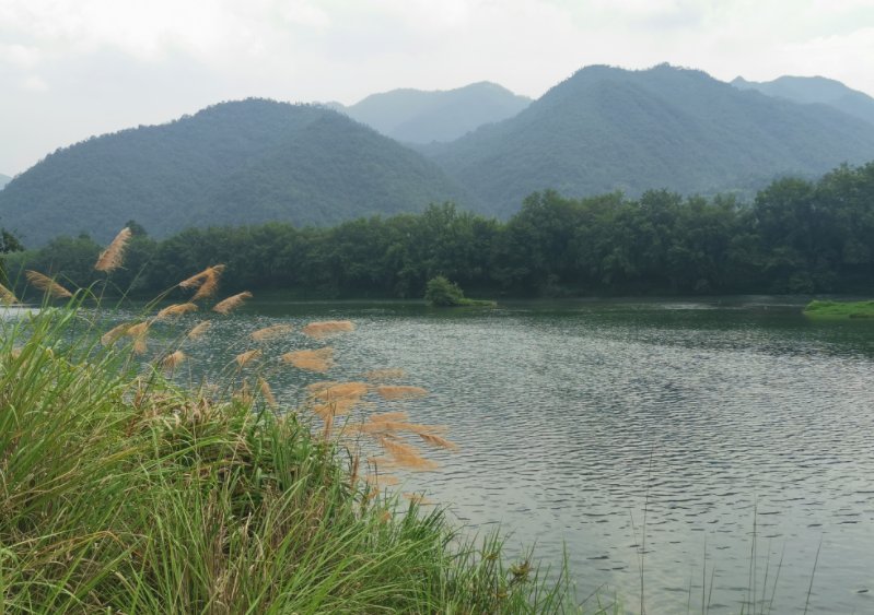 大若岩滩林|大若岩滩林：来这里放松！摊开垫子就可坐享美景