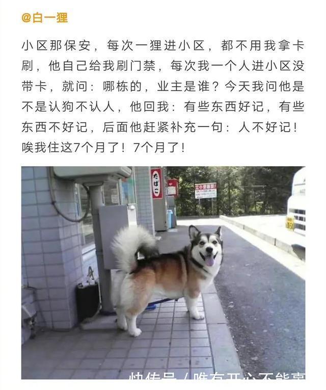 |这也太搞笑了吧